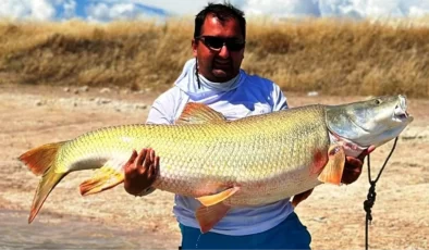 Amatör balıkçı baraj gölünde devasa balık yakaladı