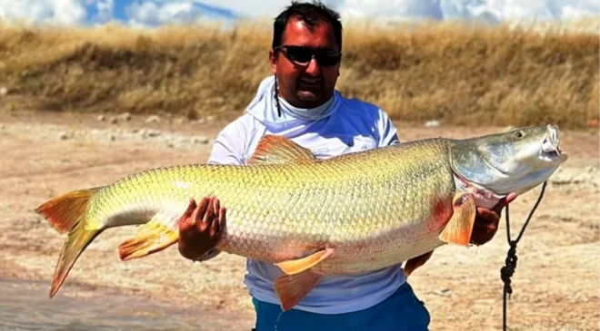 Amatör balıkçı baraj gölünde devasa balık yakaladı