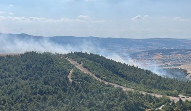 Balıkesir'de iki ilçede orman yangını