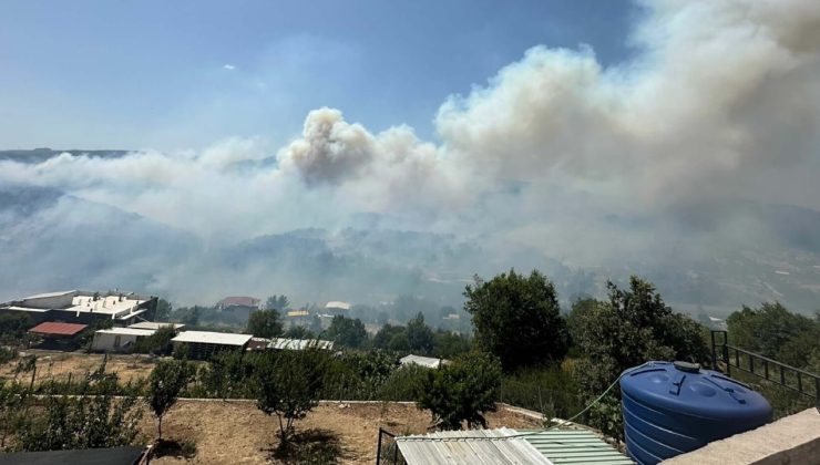 İzmir'deki orman yangını ikinci gününde sürüyor